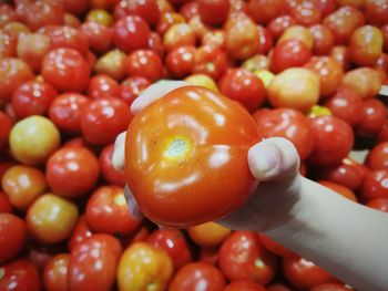 Close-up of hand holding strawberries