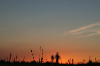 Silhouette plants on field against sky during sunset