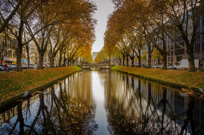 Canal amidst trees in park