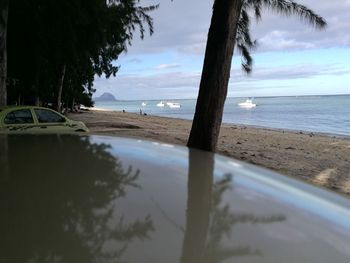 Close-up of beach against sky