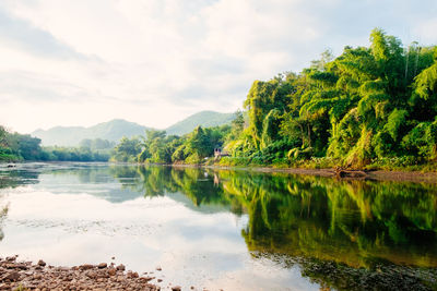 Scenic view of lake by trees against sky