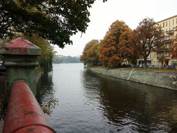 Cropped image of autumn tree by lake against sky