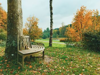 Empty bench in park