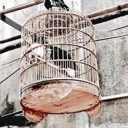 Close-up of metal grate in cage