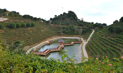 Scenic view of agricultural field against sky