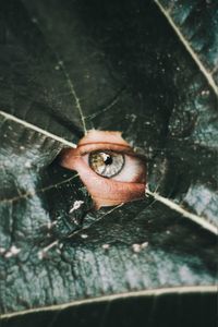 Portrait of person with reflection of woman