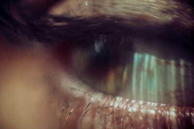 human eye