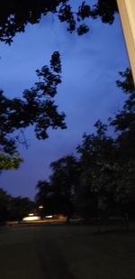 Silhouette trees by road against sky at night