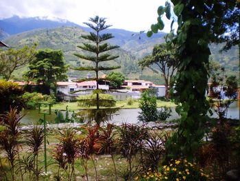 View of trees and houses in calm lake