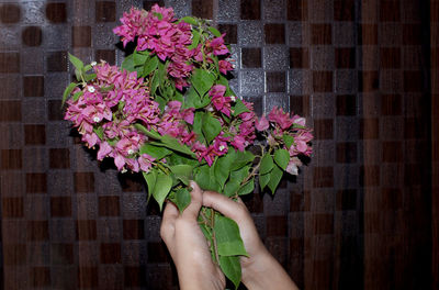 Close-up of hand holding pink flowering plant