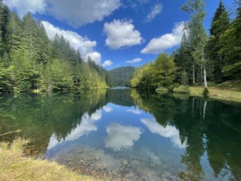 Scenic view of lake by trees against sky