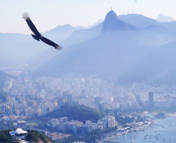 Aerial view of city and mountains