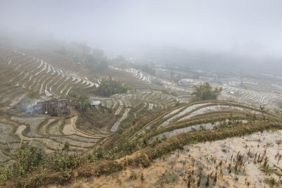 View orf rice terraces in sapa, vietnam in foggy weather