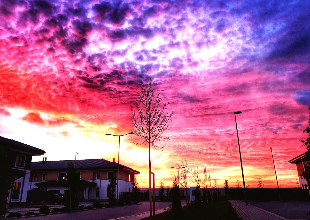 sunset, sky, cloud - sky, dramatic sky, beauty in nature, built structure, building exterior, outdoors, nature, no people, silhouette, city, architecture, romantic sky, tree, day