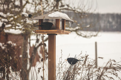 Close-up of birdhouse against snow covered field