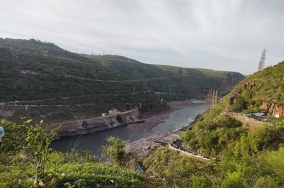 environment