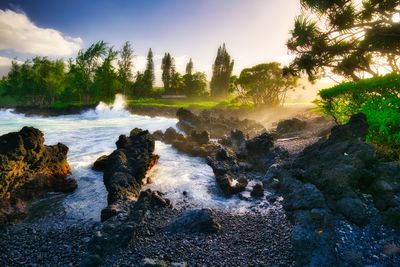 nature