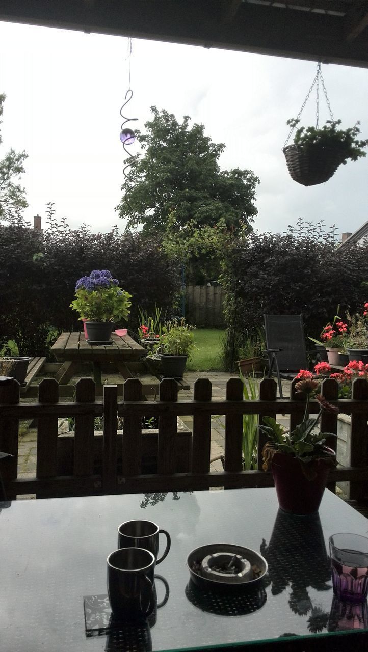 FLOWERS ON TABLE