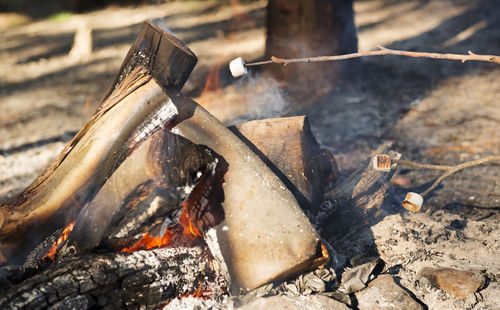 Close-up of firewood