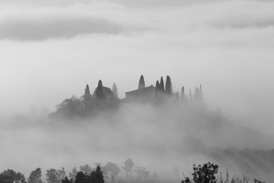 Panoramic shot of trees against sky