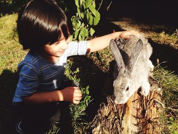 High angle view of boy stroking rabbit on wood