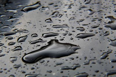 High angle view of raindrops on a leaf bag