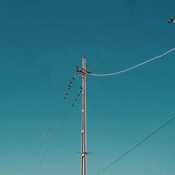 Low angle view of bird perching on cable against clear blue sky