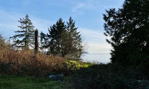 Scenic view of trees by lake against sky
