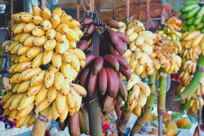 Close-up of fruits for sale at market stall