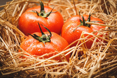 Close-up of tomatoes