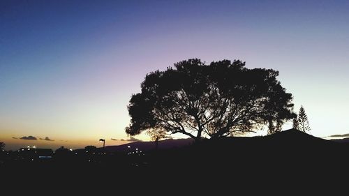 Low angle view of silhouette trees against sky at sunset