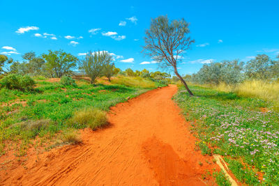 Dirt road amidst trees on field against sky