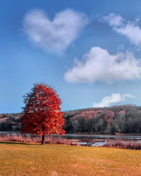 Trees on field against sky during autumn