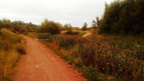 Road amidst field against sky