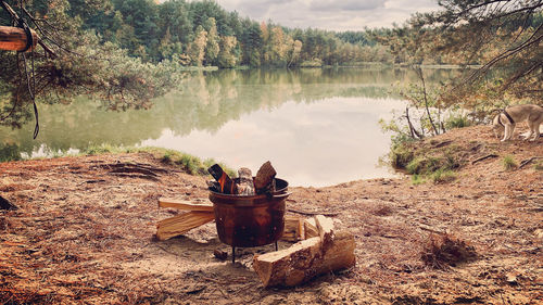 Scenic view of lake in forest