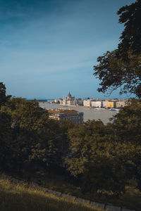 Trees and buildings against sky in city