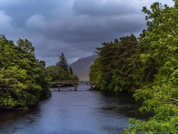 Bridge over river amidst trees against sky