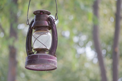 Close-up of illuminated light bulb hanging on tree