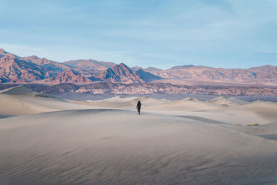 Scenic view of a desert