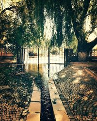 Walkway in park