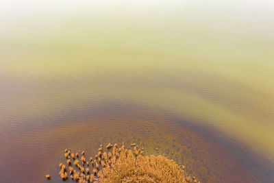 High angle view of sand on beach against sky