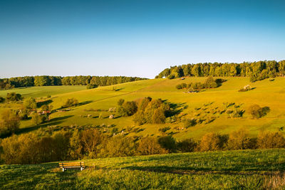 Scenic view of landscape against clear sky