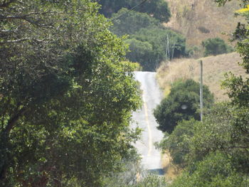 Scenic view of waterfall amidst trees in forest