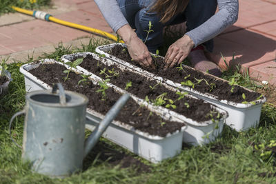 Low section of man working by plants