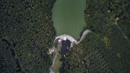 High angle view of plants against building