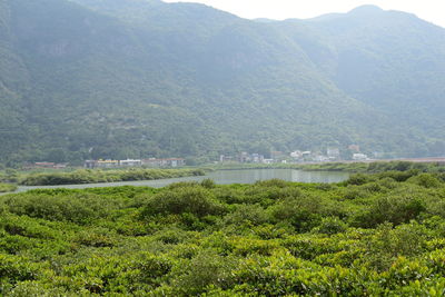 Scenic view of river by mountains against sky