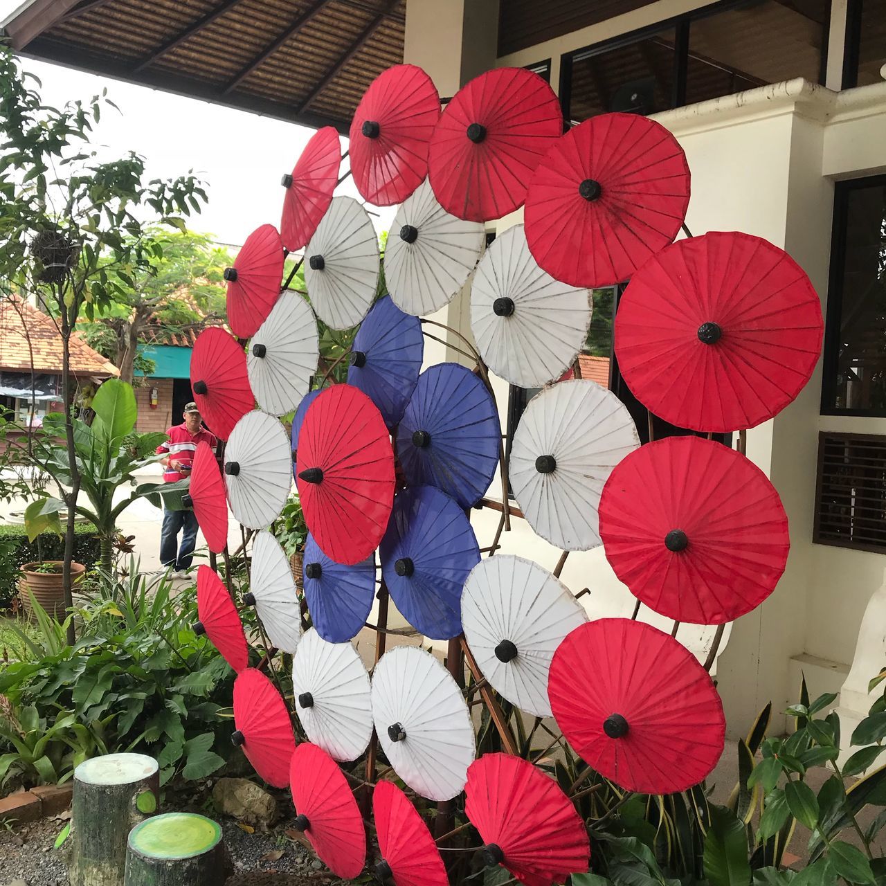 LOW ANGLE VIEW OF LANTERNS HANGING ON PLANT