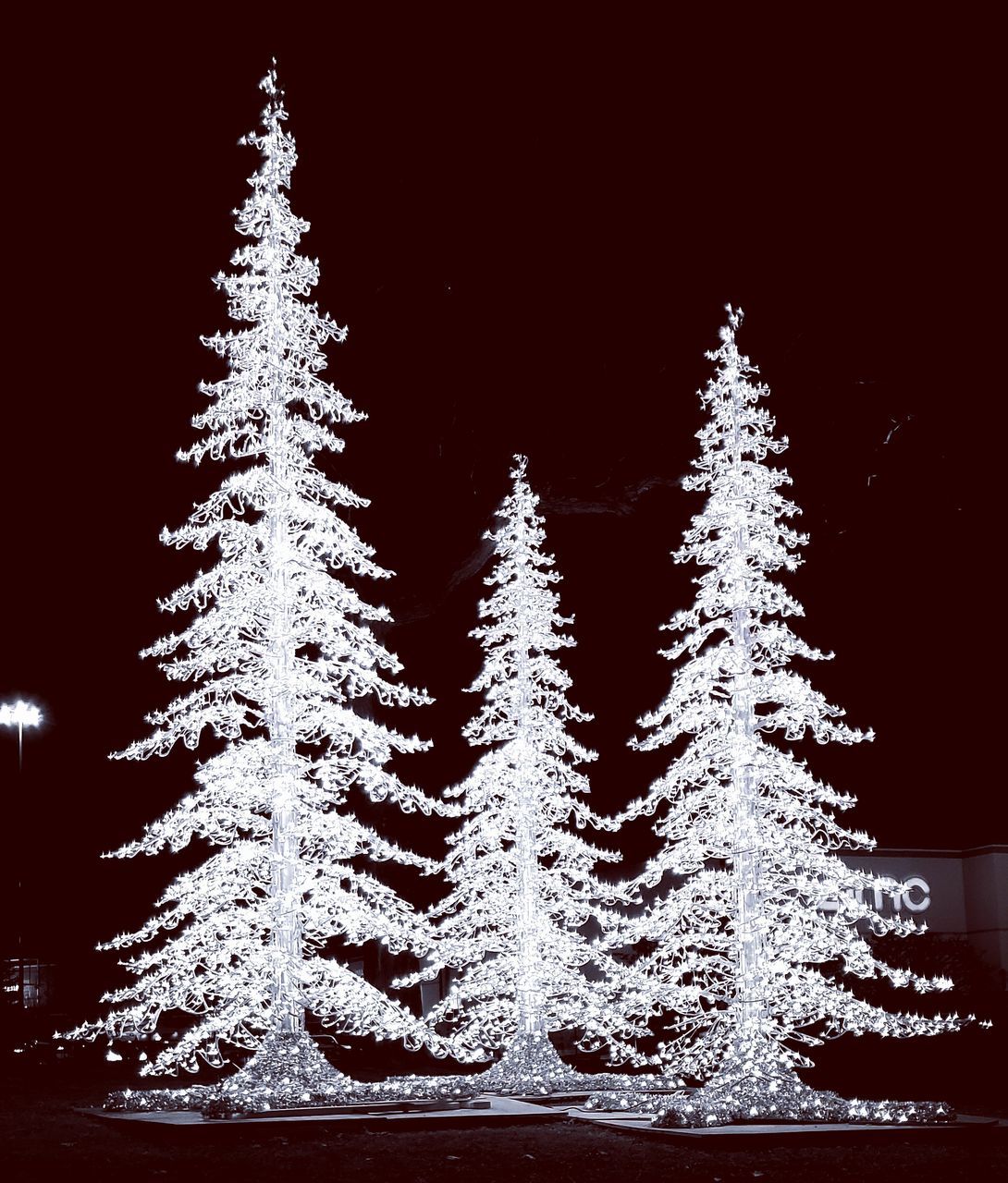 ILLUMINATED CHRISTMAS TREE IN SNOW