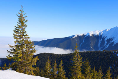 Scenic view of snowcapped mountains against clear sky