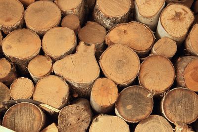 Full frame shot of logs in forest